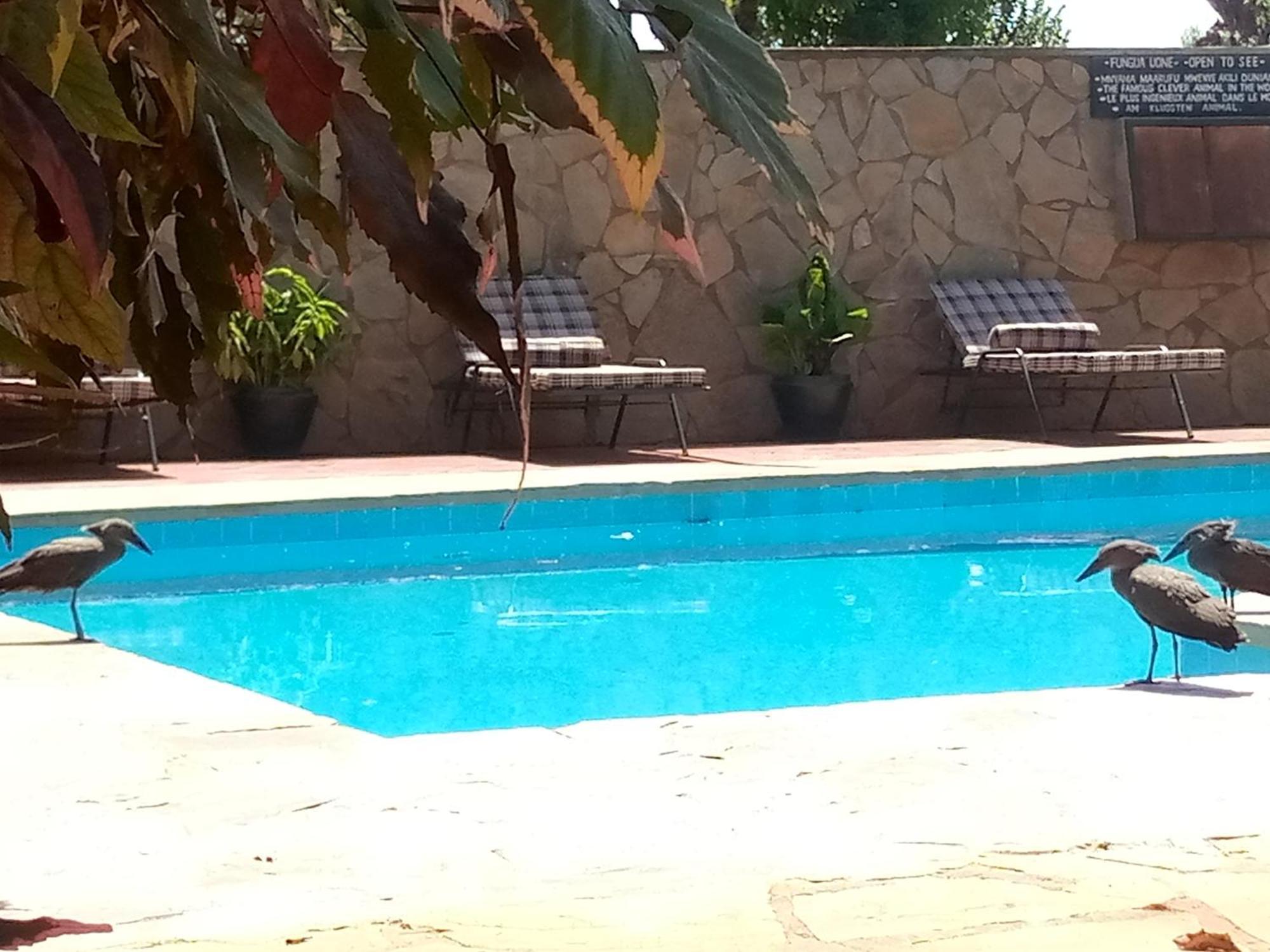 Ngorongoro Camp And Lodge Karatu Εξωτερικό φωτογραφία