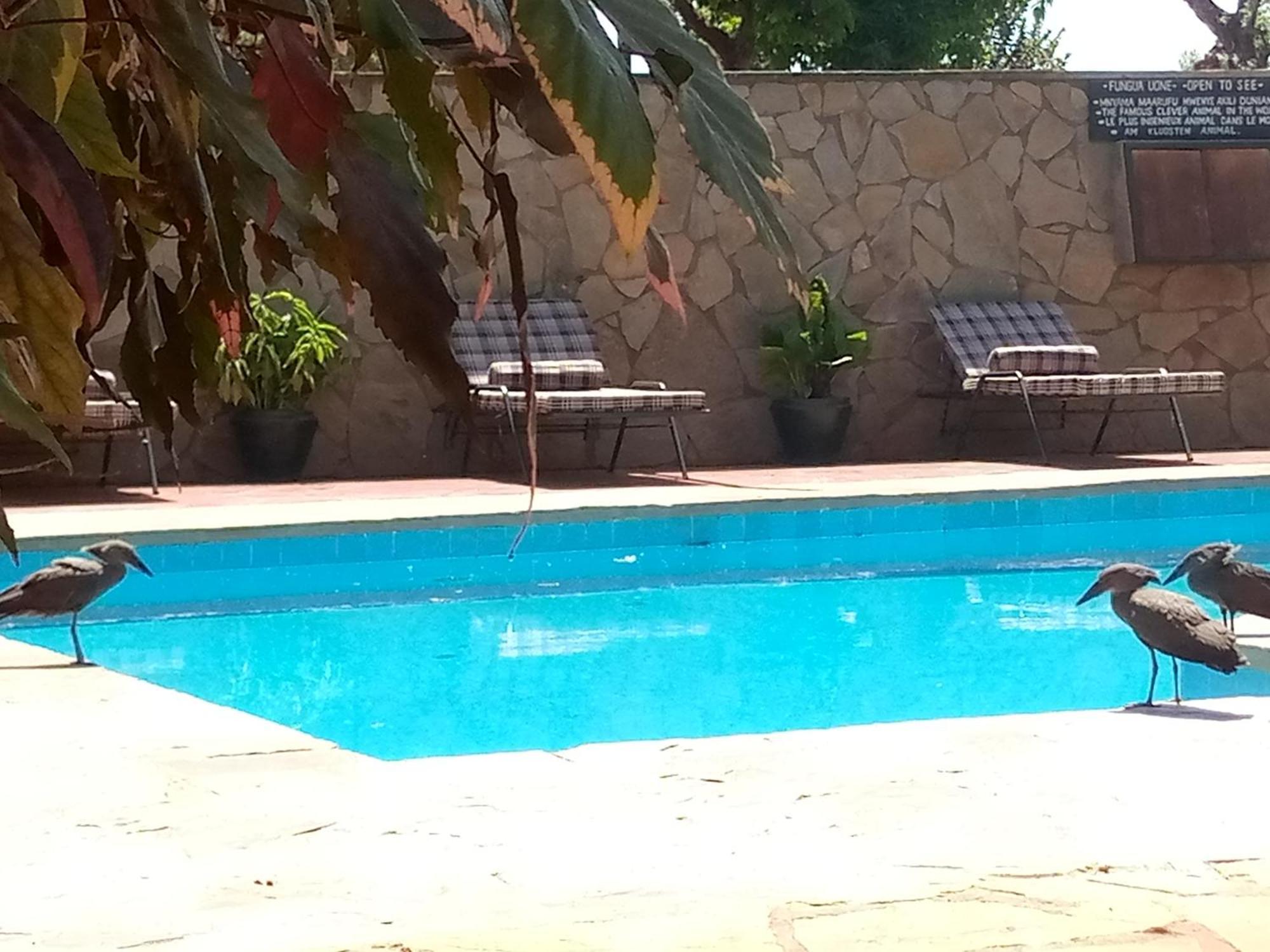Ngorongoro Camp And Lodge Karatu Εξωτερικό φωτογραφία